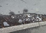 Clifton roads